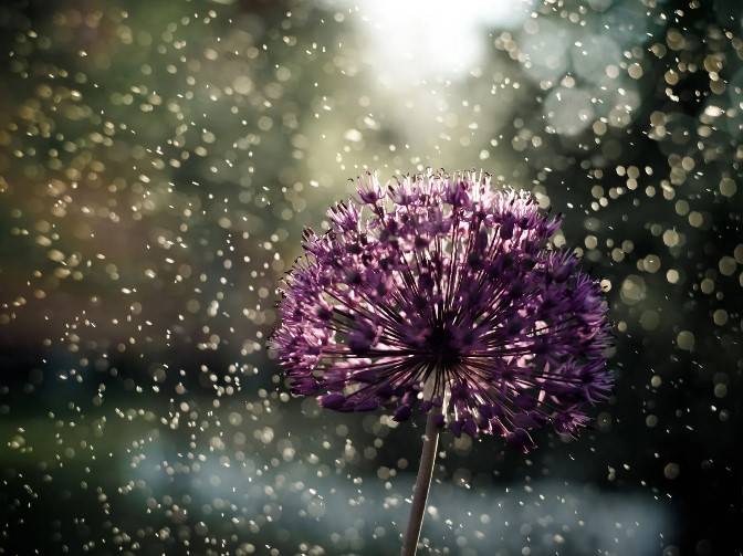 Les soins et la toilette funéraire de votre proche chez les pompes funèbres Carrare à Remoulins et Montfrin
